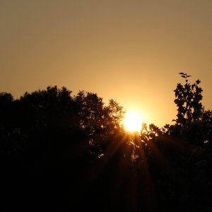 Sonnenuntergang...... Sabine Schröder